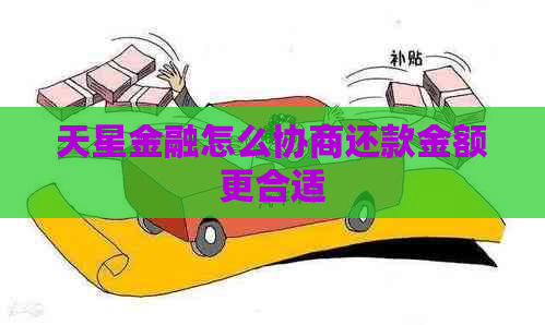 天星金融怎么协商还款金额更合适