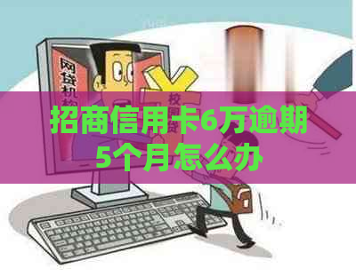 招商信用卡6万逾期5个月怎么办