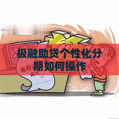 极融助贷个性化分期如何操作