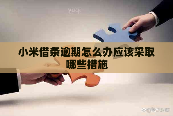 小米借条逾期怎么办应该采取哪些措施