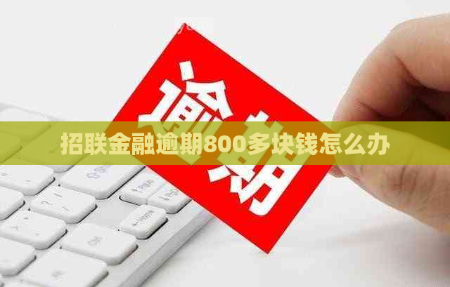 招联金融逾期800多块钱怎么办