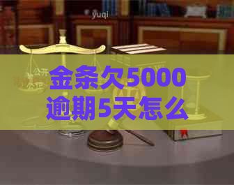 金条欠5000逾期5天怎么办