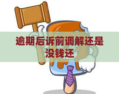 逾期后诉前调解还是没钱还