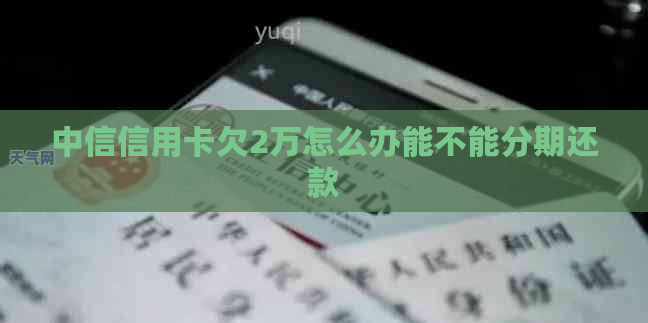 中信信用卡欠2万怎么办能不能分期还款