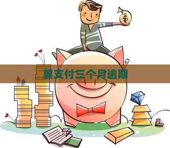 翼支付三个月逾期