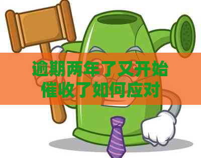 逾期两年了又开始了如何应对