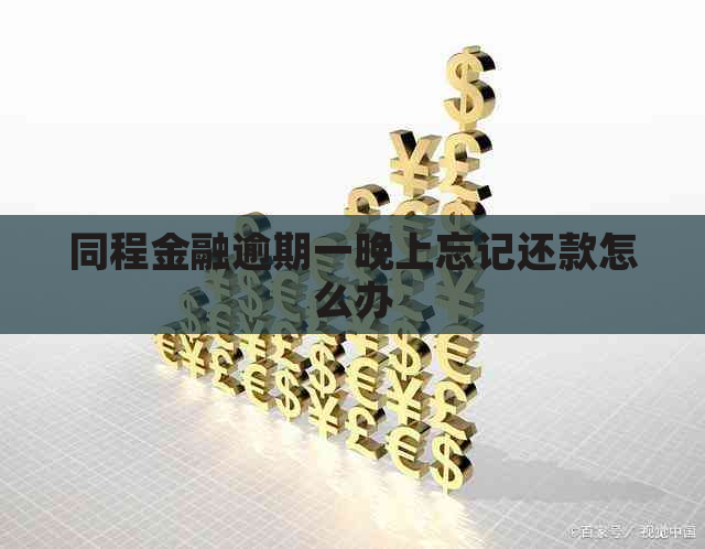 同程金融逾期一晚上忘记还款怎么办