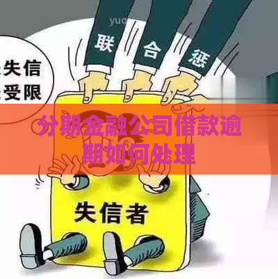 分期金融公司借款逾期如何处理