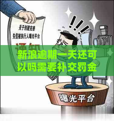 新浪逾期一天还可以吗需要补交罚金吗