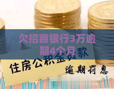 欠招商银行3万逾期4个月