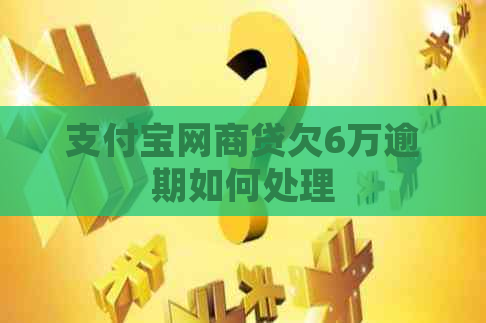 支付宝网商贷欠6万逾期如何处理