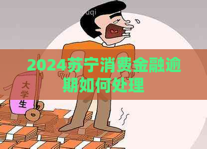 2024苏宁消费金融逾期如何处理