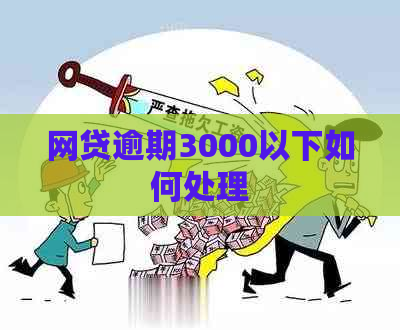 网贷逾期3000以下如何处理