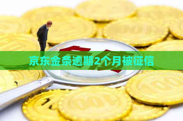 京东金条逾期2个月被