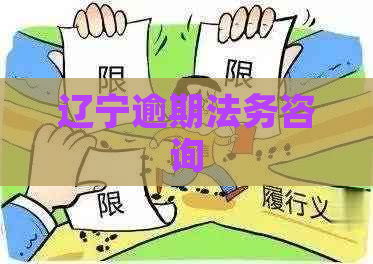 辽宁逾期法务咨询