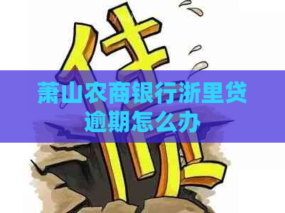 萧山农商银行浙里贷逾期怎么办