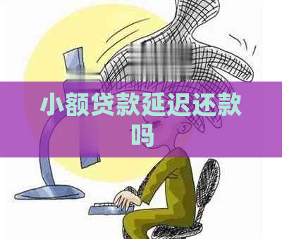 小额贷款延迟还款吗