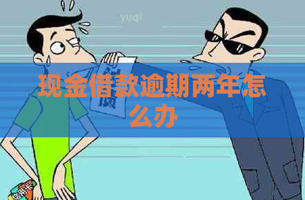 现金借款逾期两年怎么办