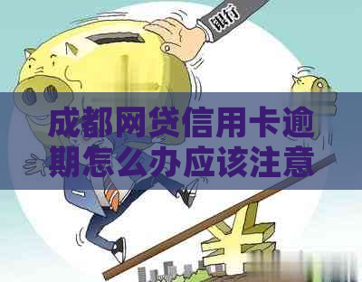 成都网贷信用卡逾期怎么办应该注意哪些问题