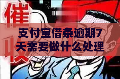 支付宝借条逾期7天需要做什么处理