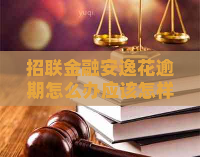 招联金融安逸花逾期怎么办应该怎样处理