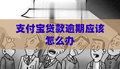 支付宝贷款逾期应该怎么办