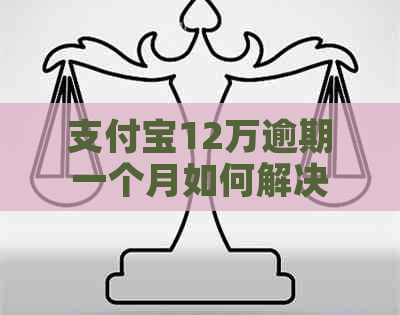 支付宝12万逾期一个月如何解决