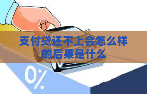 支付贷还不上会怎么样的后果是什么