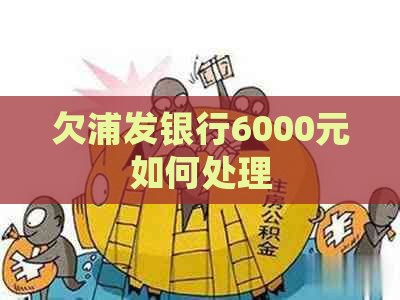 欠浦发银行6000元如何处理