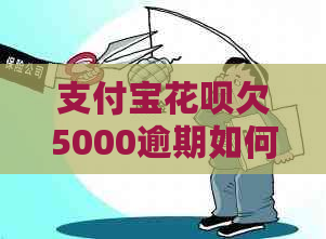 支付宝花呗欠5000逾期如何处理