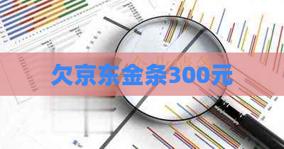 欠京东金条300元