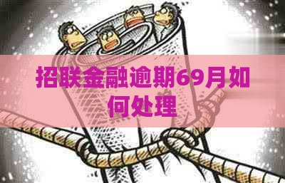 招联金融逾期69月如何处理