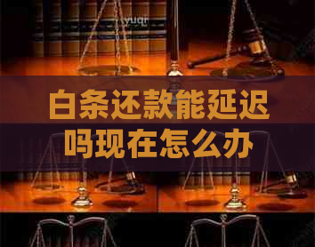 白条还款能延迟吗现在怎么办