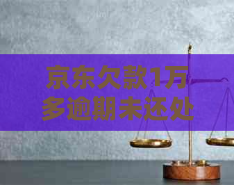 京东欠款1万多逾期未还处理方法