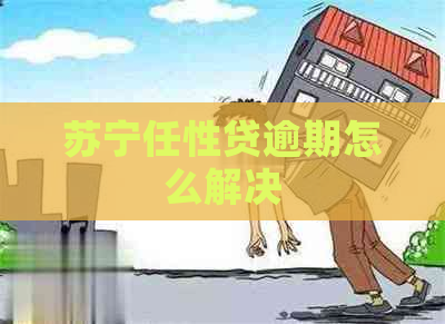 苏宁任性贷逾期怎么解决