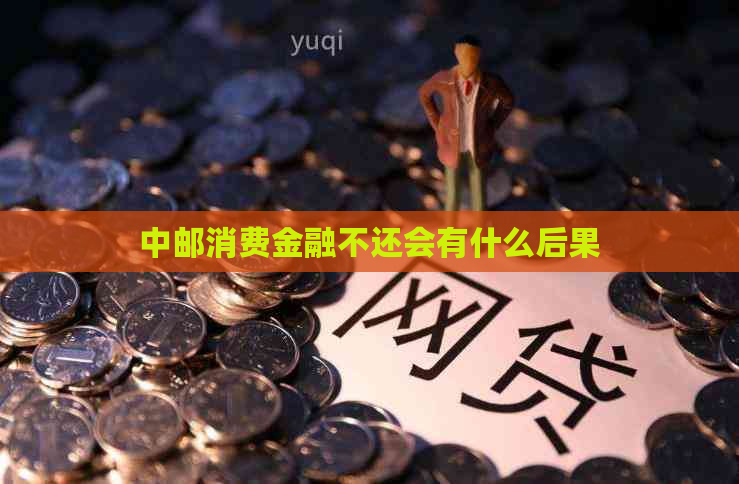 中邮消费金融不还会有什么后果