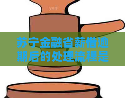 苏宁金融省薪借逾期后的处理流程是怎样的