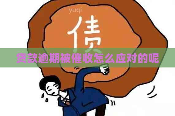 贷款逾期被怎么应对的呢