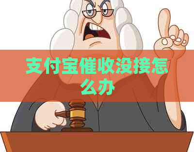 支付宝没接怎么办