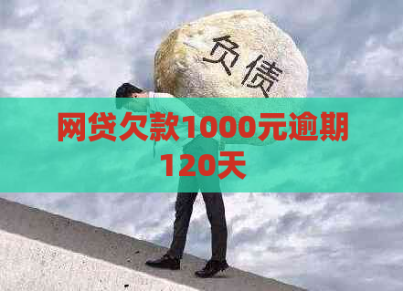 网贷欠款1000元逾期120天