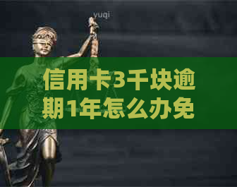 信用卡3千块逾期1年怎么办免除逾期费用