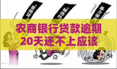 农商银行贷款逾期20天还不上应该怎么办