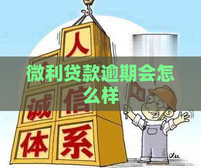 微利贷款逾期会怎么样