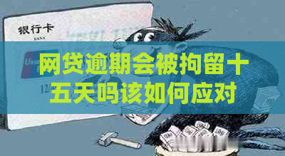 网贷逾期会被拘留十五天吗该如何应对