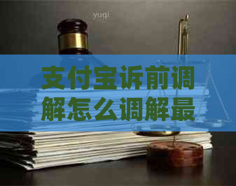 支付宝诉前调解怎么调解最有效