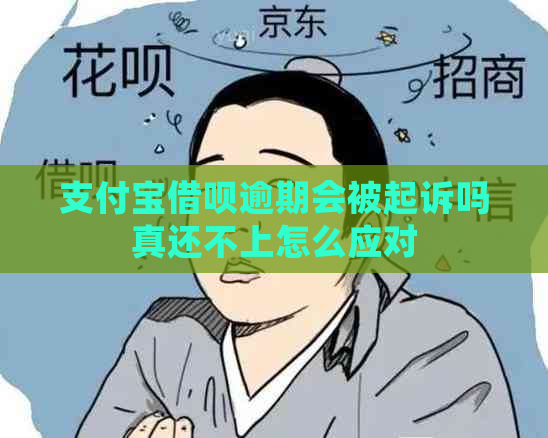 支付宝借呗逾期会被起诉吗真还不上怎么应对