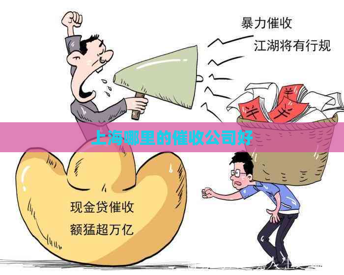 上海哪里的公司好