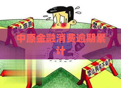 中原金融消费逾期累计