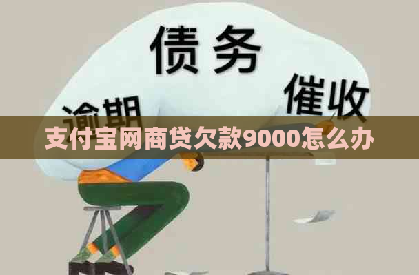 支付宝网商贷欠款9000怎么办