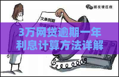 3万网贷逾期一年利息计算方法详解